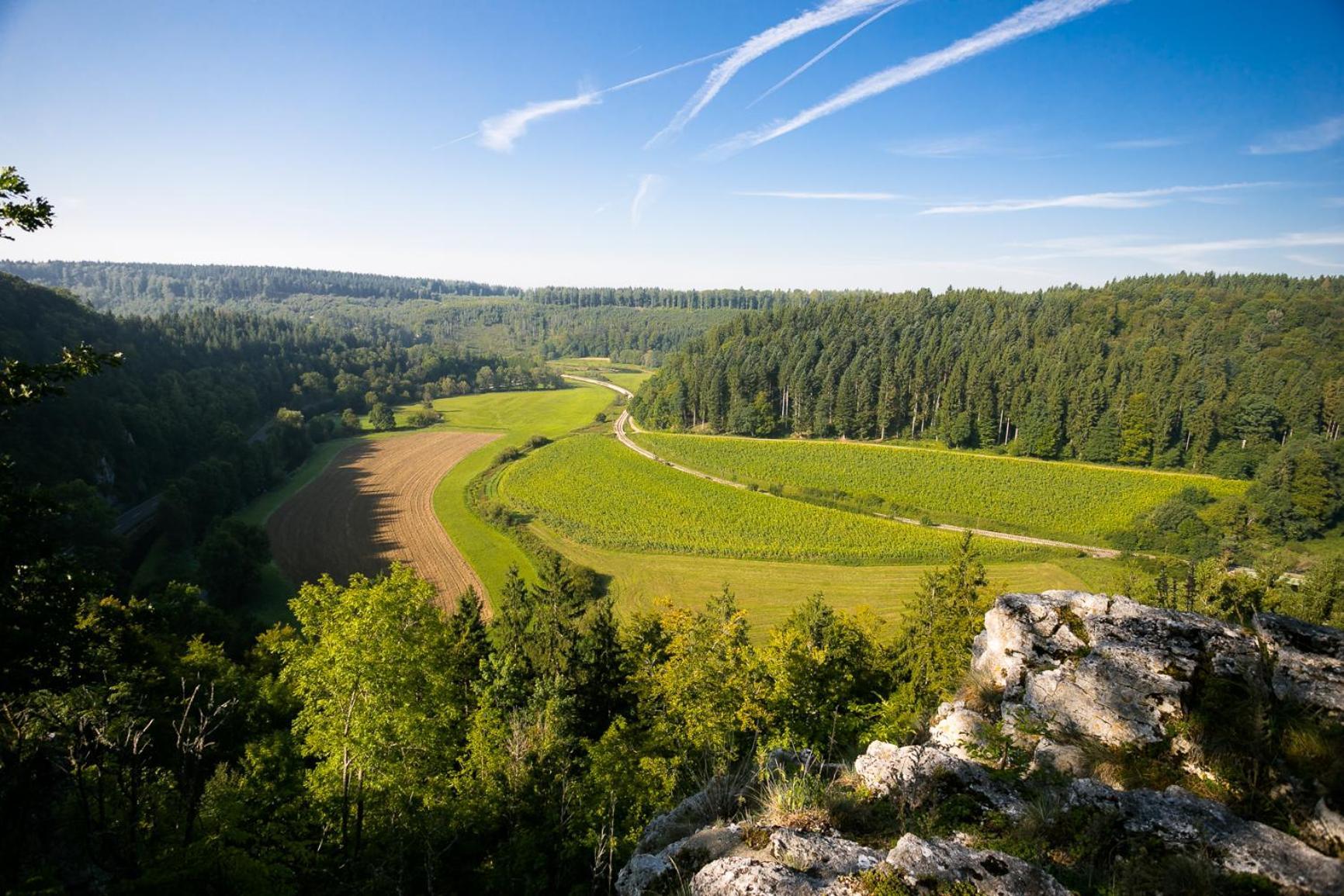 Haus Wiesengrund - Hundefreundlich Gammertingen Екстериор снимка